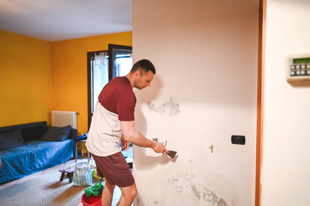 Best Mold Remediation  in Williamsport, IN